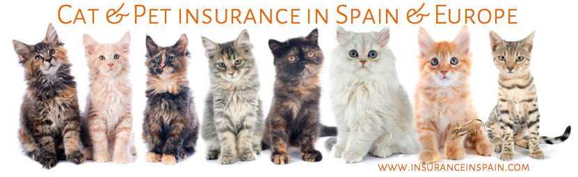Pet insurance for Dogs, Cats and Horses in Spain cat insurance in spain pet insurance pet plans veterinary insurance