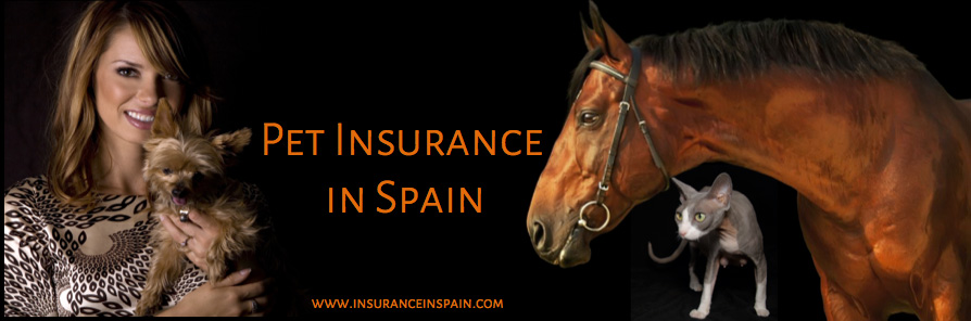 Horse, dog and cat pet insurance in Spain with Liberty Seguros cheap pet insurance in spain for cats and dogs including dangerous dogs