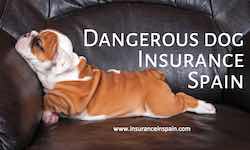 Dangerous dog insurance and the list of Dangerous dogs in Spain dangerous dog insurance in spain dangerous dog list in spain