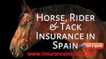 horse insurance in spain and europe covering tack the rider and veterinary