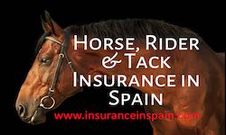 horse insurance Spain with rider liability + veterinary insurance 