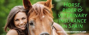 insurance in spain for horse and riders against accidents and injuries